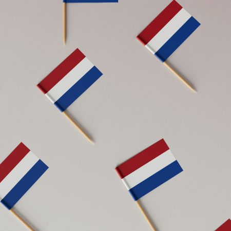 Holandia – Finlandia – typy i kursy